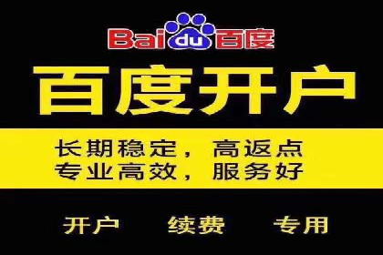 SEM托管实战案例：揭秘高效广告投放秘诀